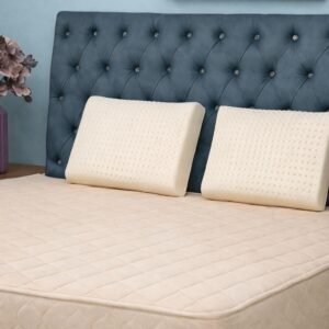 Natural Latex Pillows