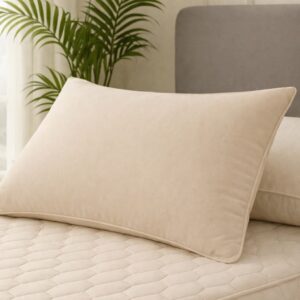 Memory Foam Pillows